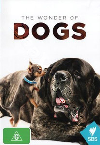 The Wonder of Dogs (DVD)